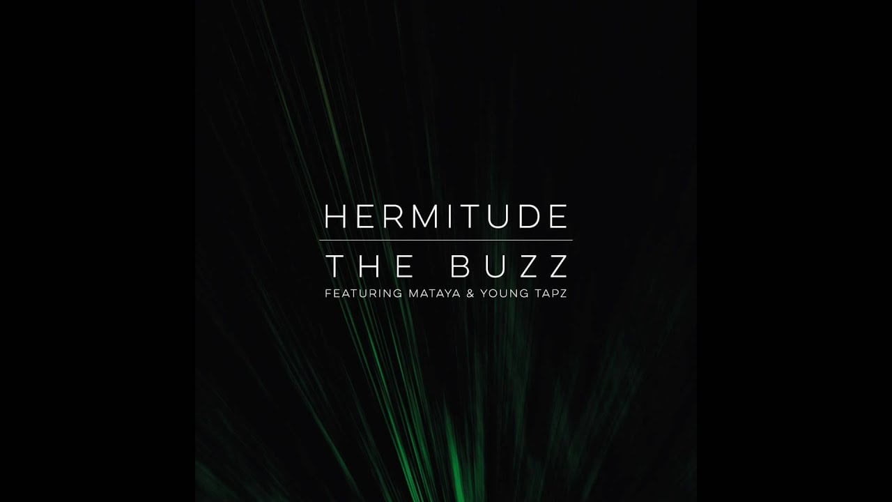 The Buzz — Hermitude